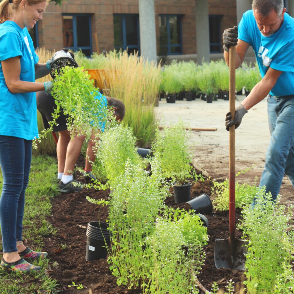 1001 Trees Corporate Social Responsibility