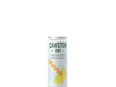 Cawston Press - Sparkling Dry Ginger & Lemon 1001 Trees UK